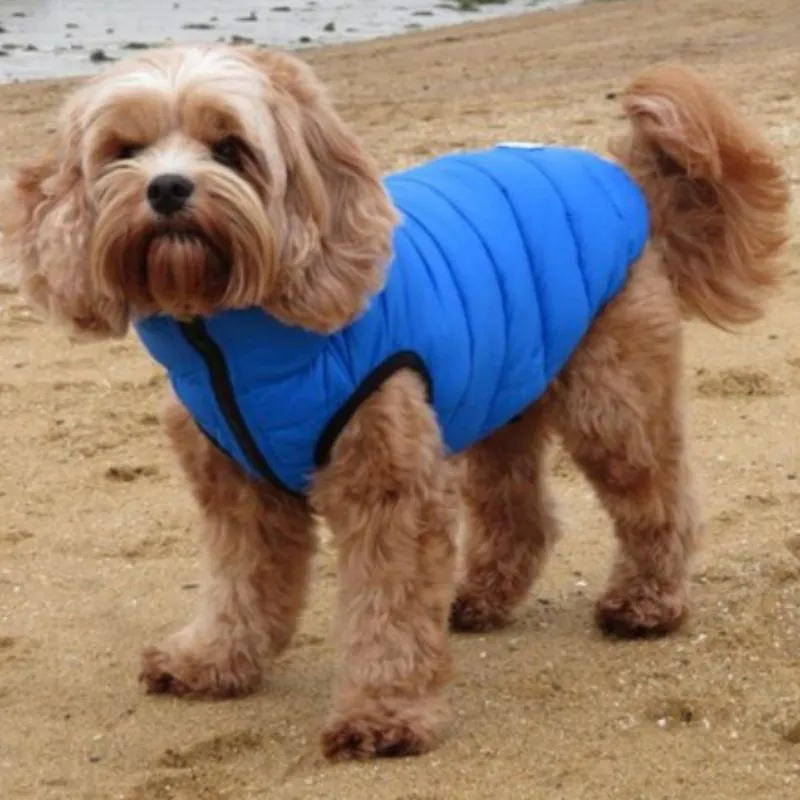 Blue and Navy Dog Puffer Jacket