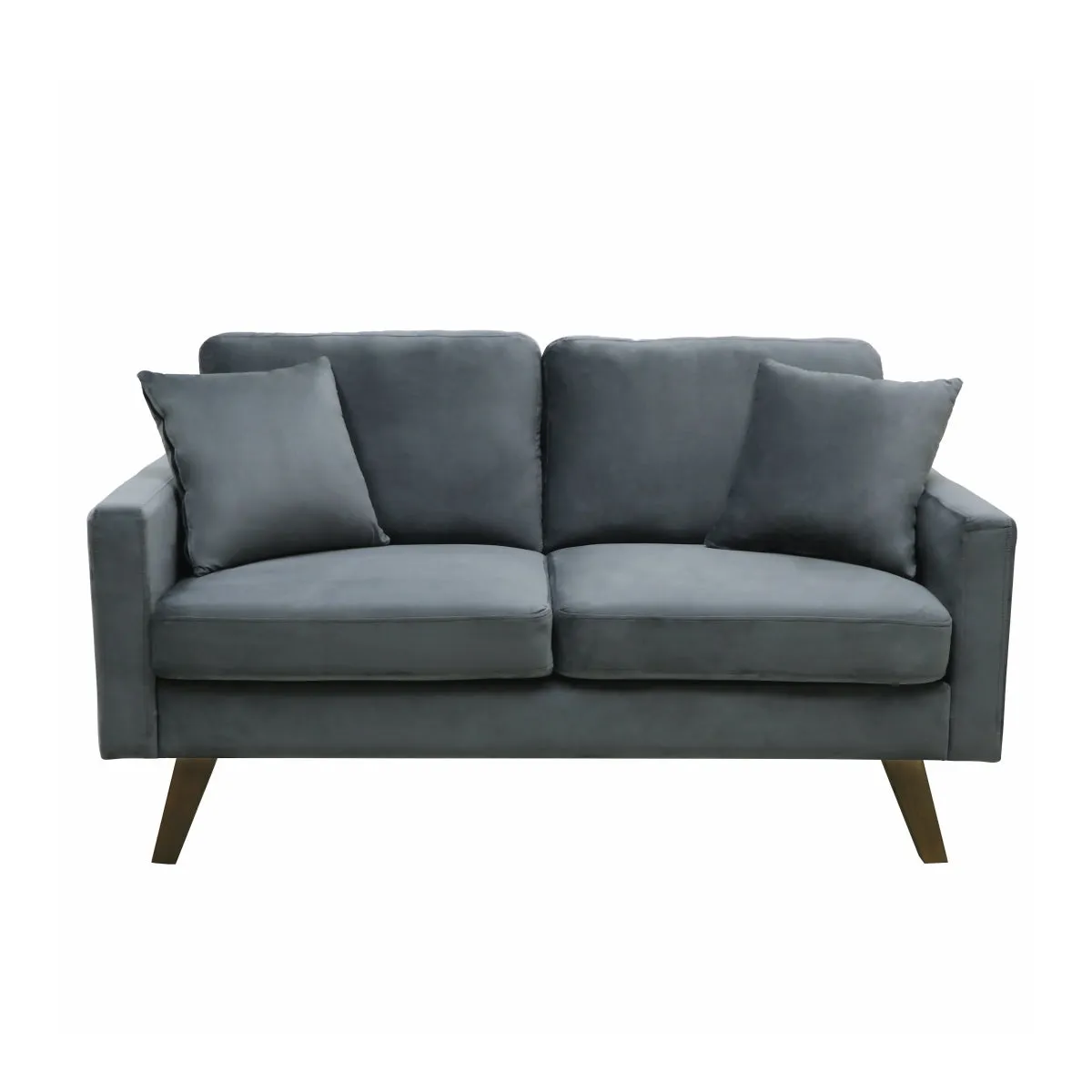 CozyCloud Grey Velvet Loveseat