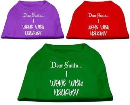 Dear Santa I Went with Naughty T-Shirt