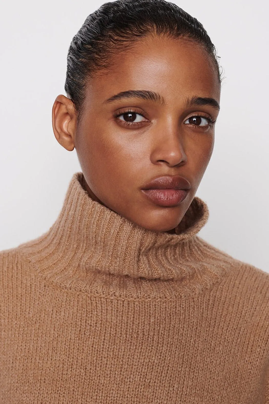 Frame - Swingy Turtle Neck