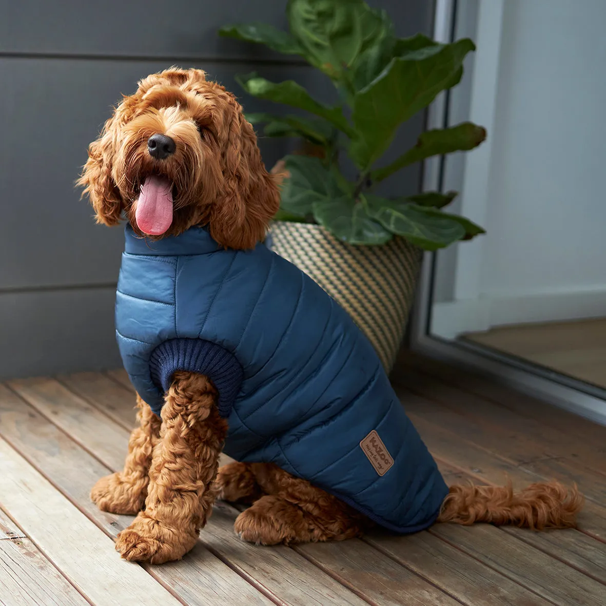 Reversible Puffer Dog Jacket - Blue & Navy